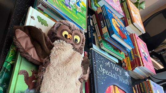 32144F33 85A3 4226 B3be 116Da1e07a10